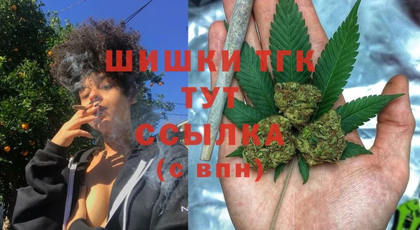 гашик Балахна
