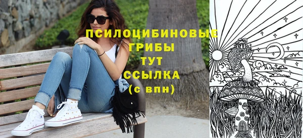 гашик Балахна