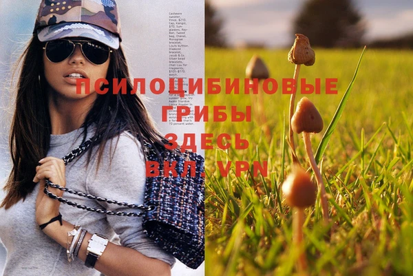 стафф Балабаново