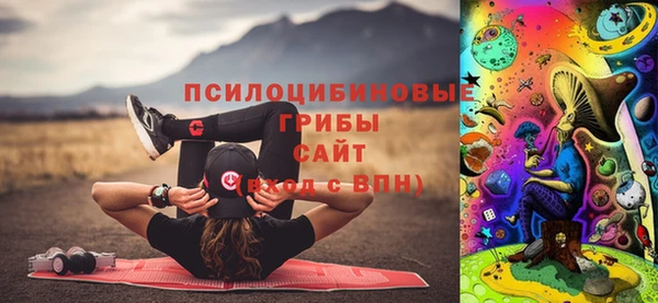 мдпв Арсеньев